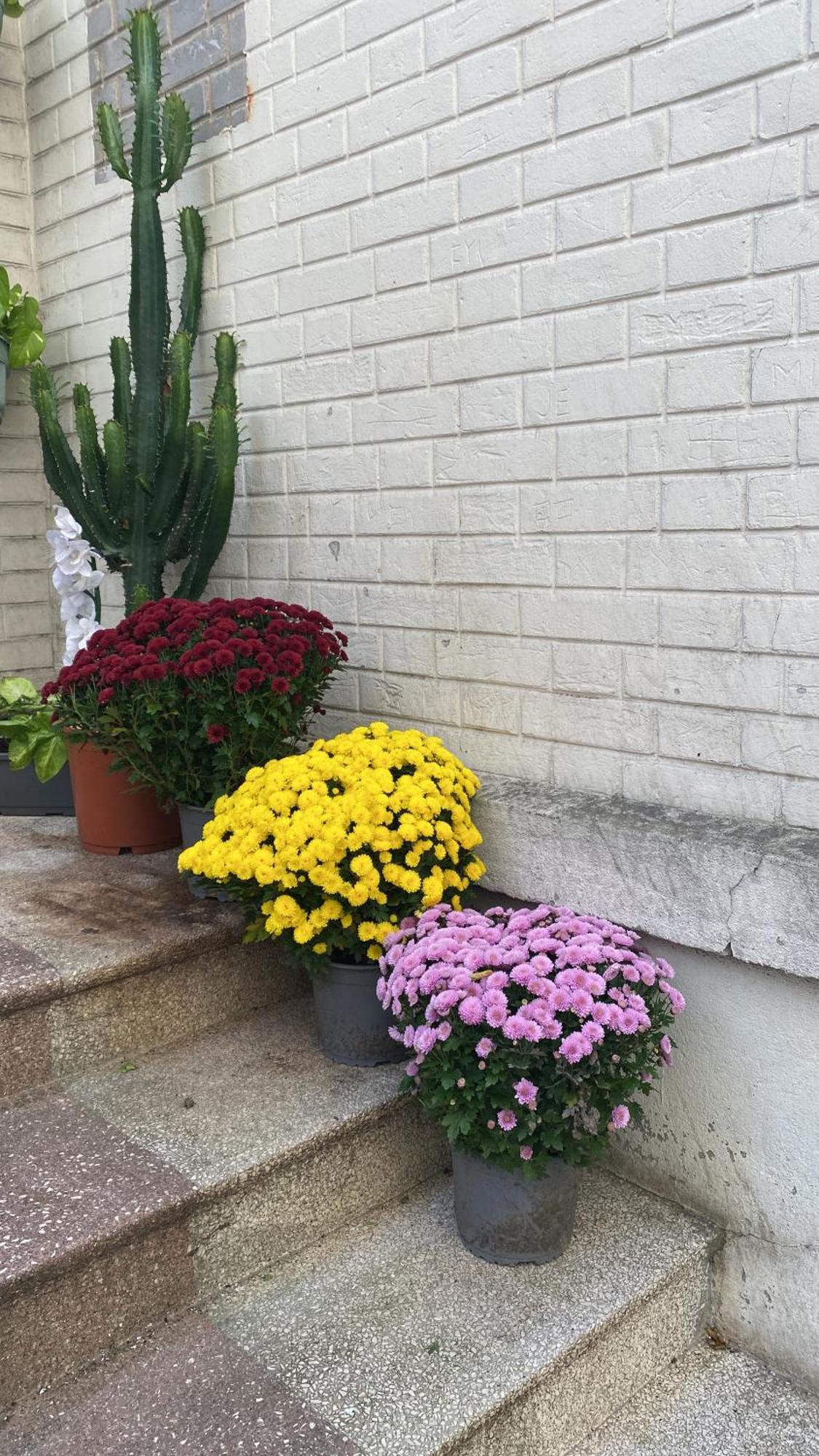 Maisonnette Au Calme Proche T2 拉加雷讷科隆布 外观 照片